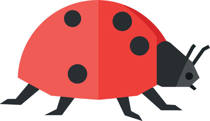 Fototapeta premium Ladybug insect with red shell and black spots in flat minimal design walking vector illustration