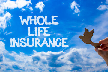 Whole life insurance symbol. Concept words Whole life insurance on beautiful blue sky. Beautiful...