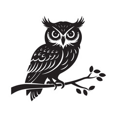 owl sitting on a branch