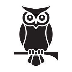 owl on white background