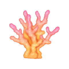 Obraz premium Digital illustration of a pink and orange coral in bright colors depicting marine life and underwater ecology with white background with copy space.