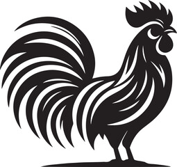 rooster isolated on white background