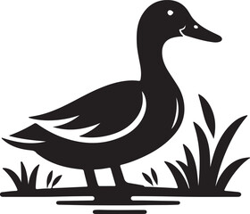 duck vector illustration