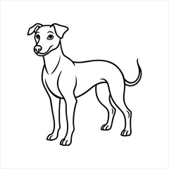 vector illustration of a dog