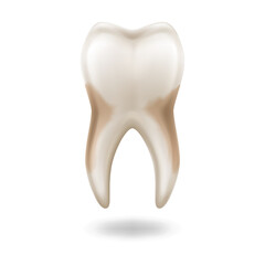 Detailed digital illustration of a human molar tooth in beige shades, representing dental health and hygiene, isolated on white background with copy space.