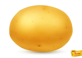 High-quality vector illustration of a fresh yellow potato with natural texture and soft shadow. Isolated on white background. Ideal for food packaging, farming, cooking, and healthy eating concepts