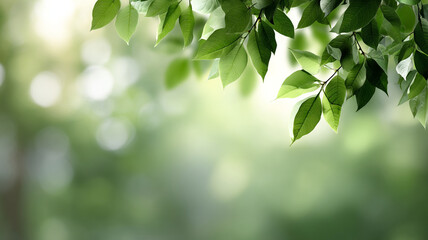 Green leaves hang gracefully against blurred natural backdrop, with sunlight filtering through, creating serene and peaceful atmosphere. soft focus enhances tranquility of scene