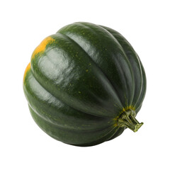 A plump, dark green acorn squash, ready for harvest, showing its unique ribbed texture and vibrant autumnal hues against a clean white backdrop. © AI Creatives Studio
