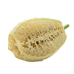 A delicate loofah halved, revealing its intricate, honey-colored network of fibers against a pure white backdrop.