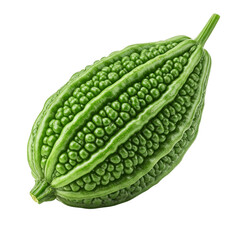 A vibrant green bitter melon, showcasing its unique bumpy texture and rich color against a clean white background.