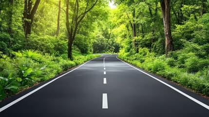 Obraz premium Winding road through lush green forest