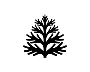 creative details Pine Tree Icon Vector Illustration