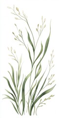 Fototapeta premium Elegant watercolor illustration of green leaves and delicate buds on a white background, showcasing natural beauty.