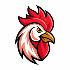 rooster vector illustration