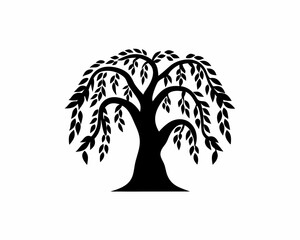 creative details Willow Tree Icon Vector Illustration