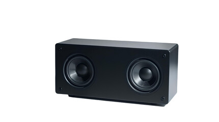 Photo of speaker isolated on transparent background.png