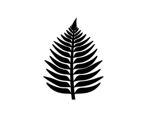 creative details Fern Leaf Icon Vector Illustration