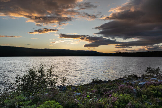 Golden sunlight above a calm lake waters as clouds hover above the mountains, framed by greenery and heath along the shoreline at dusk, creating a peaceful atmosphere in Sweden.
 - Powered by Adobe