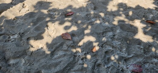 image of white sand beach on the coast of Brazil on a sunny day​