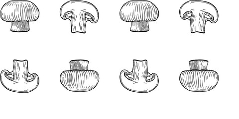 Hand-drawn black and white pattern of whole and sliced mushrooms. Detailed sketch style. Perfect for culinary designs, packaging, or nature illustrations.