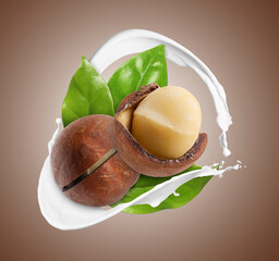 Nut milk splash, macadamias and green leaves on pale brown background