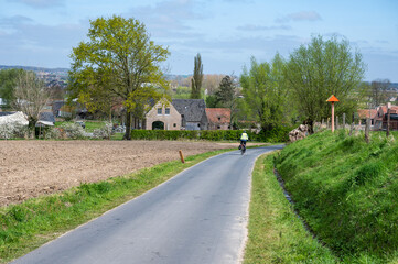 Cyclist driving down the Oude Kwaremont in Kluisbergen, East Flemish Region, Belgium