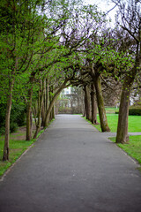 alley in the park