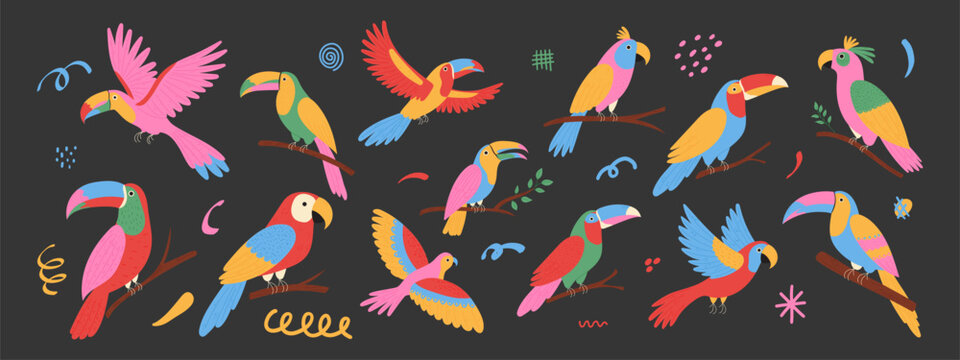 Tropical birds set. Exotic parrots, cockatoo, toucan. Vector illustration with doodle elements