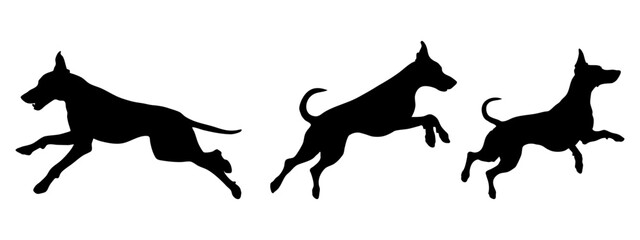 Doberman in different poses. Dog breed silhouette
