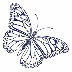 Blue Tiger Butterfly – Patterned Line Wing