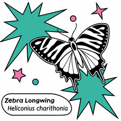 Zebra Longwing Butterfly – Black and White Stripes Meets Color Blast