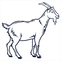 goat on a white background