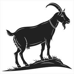 goat on white background