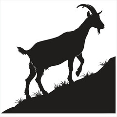 goat on white background