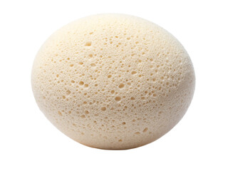 A close-up of a round, porous natural sea sponge showcasing its intricate texture and pale color.