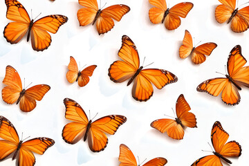 Fototapeta premium Vibrant Orange Butterflies Artwork