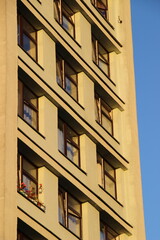 Windows of a modern building with floral decoration on a sunny day in an urban setting