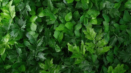 Obraz premium Lush green foliage texture vibrant natural background for design and commercial use