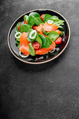 Salmon salad fresh seafood appetizer dish fresh tasty gourmet food background on table rustic food top view copy space keto and paleo diet vegetarian food pescetarian diet