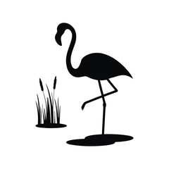 Flamingo Grace A Silhouette in Still Waters