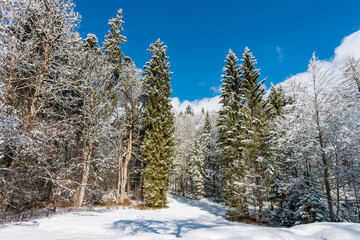 Winter Landscape in the surroundings in the snow at Linderhof Palace, during the German winter, in...