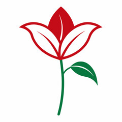 Blood Lily flower with leaf line art isolated on white background