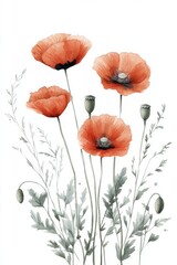 Poppy summer flowers and a bouquet with red flowers are depicted in a watercolor hand drawing design element suitable for textiles, wallpaper, and card