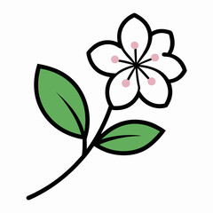 Cherry flower with leaf line art isolated on white background 