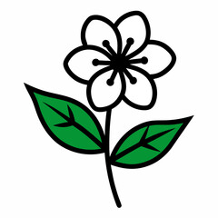 Hypericum flower with leaf line art isolated on white background