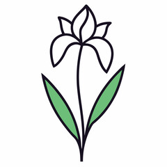 Iris flower with leaf line art isolated on white background