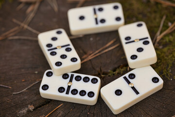 Several White Domino Tiles With Black Dots Arranged Loosely On An Old Wooden Stump Surface With Pine Needles. Classic Board Game Close Up.