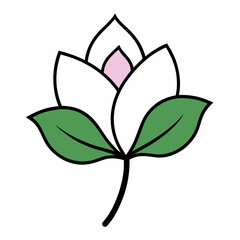 Magnolia flower with leaf line art isolated on white background