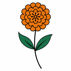 Marigold flower with leaf line art isolated on white background