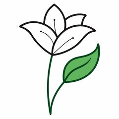 Monsoon lily flower line art vector with leaf isolated on white background